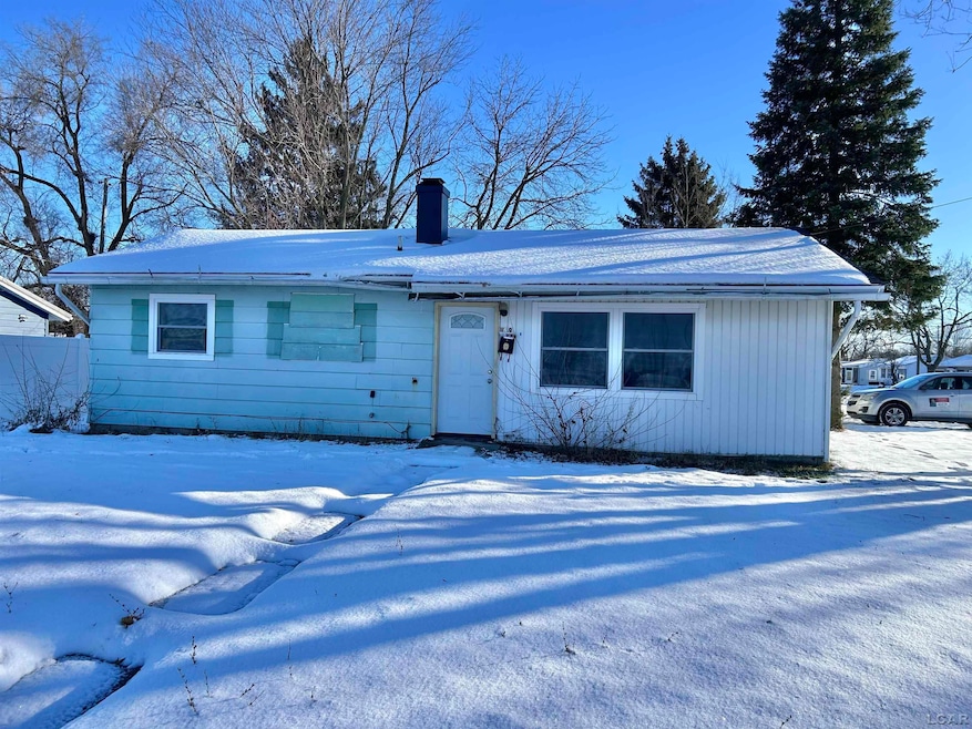 1169 Division St, Adrian, MI 49221 - photo 1