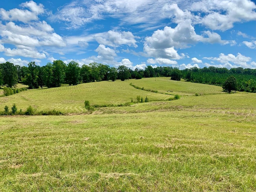 Sold • Co-Listing Agent