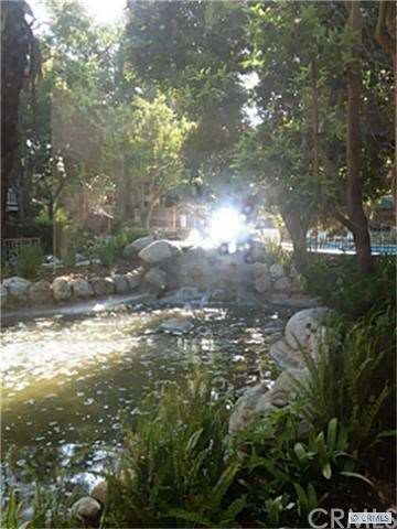 beautiful view from living areas and patio