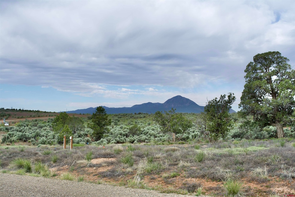 Lot 8 Road K 3, Cortez, CO 81321 - photo 1