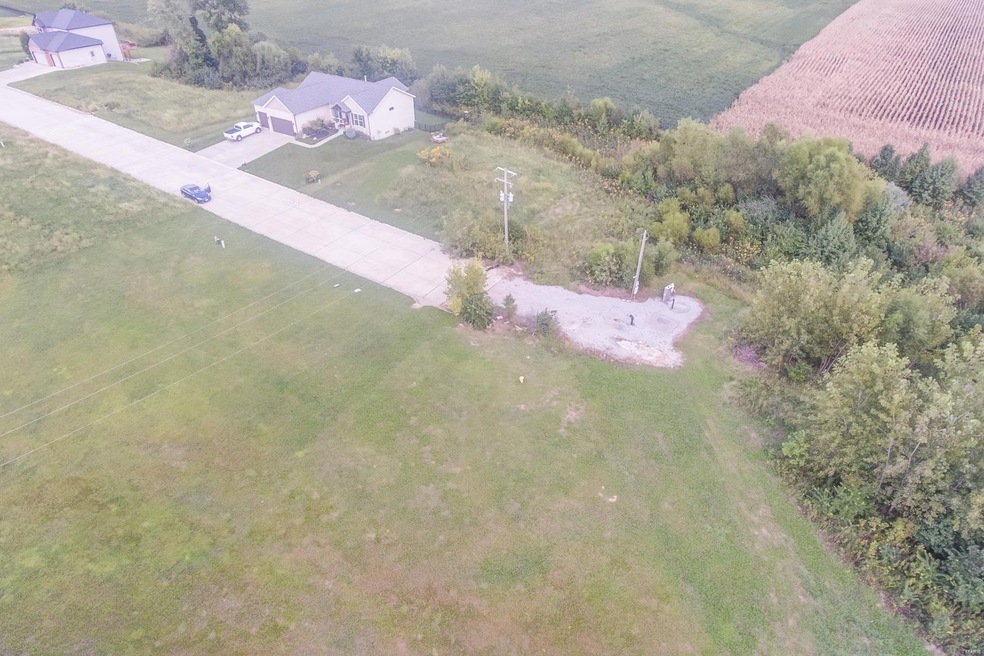 1124 Pisa Dr, Caseyville, IL 62232 - photo 1