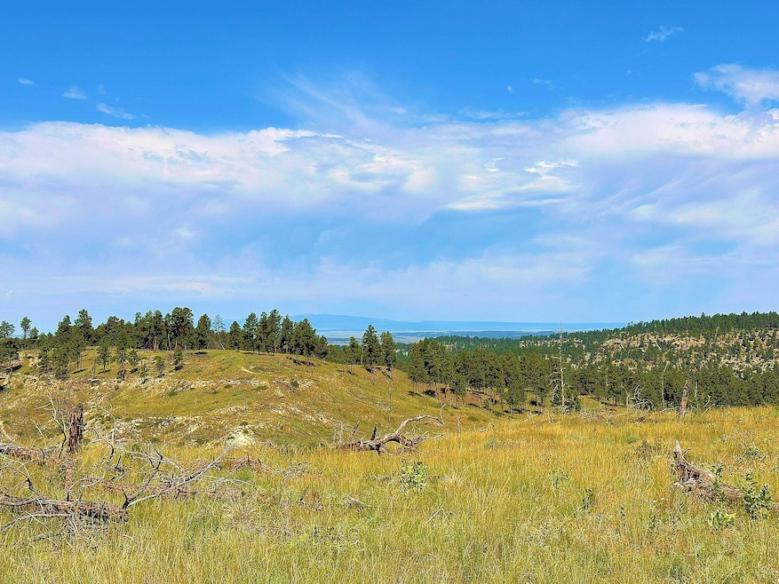 0 Buckskin Rd, Roundup, MT 59072 - photo 1