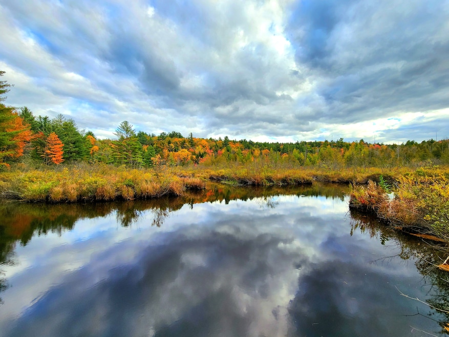 4255 Factory Rd, Natural Bridge, NY 13665 - photo 1