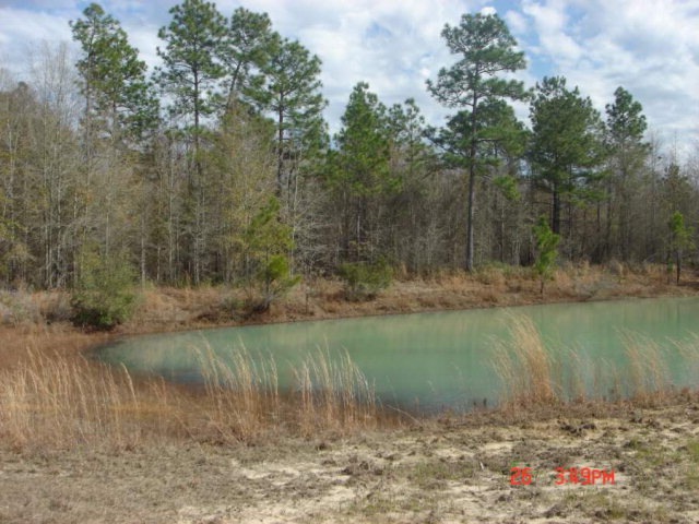 00 Oakgrove Rd, Sylvester, GA 31791 - photo 1