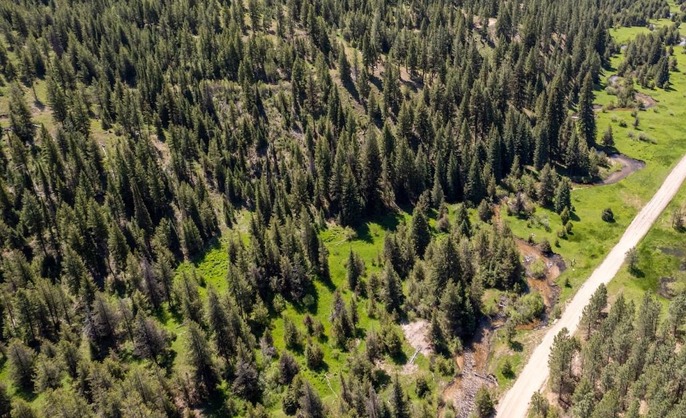 TBD 37 Clear Creek Rd, Cascade, ID 83611 - photo 1