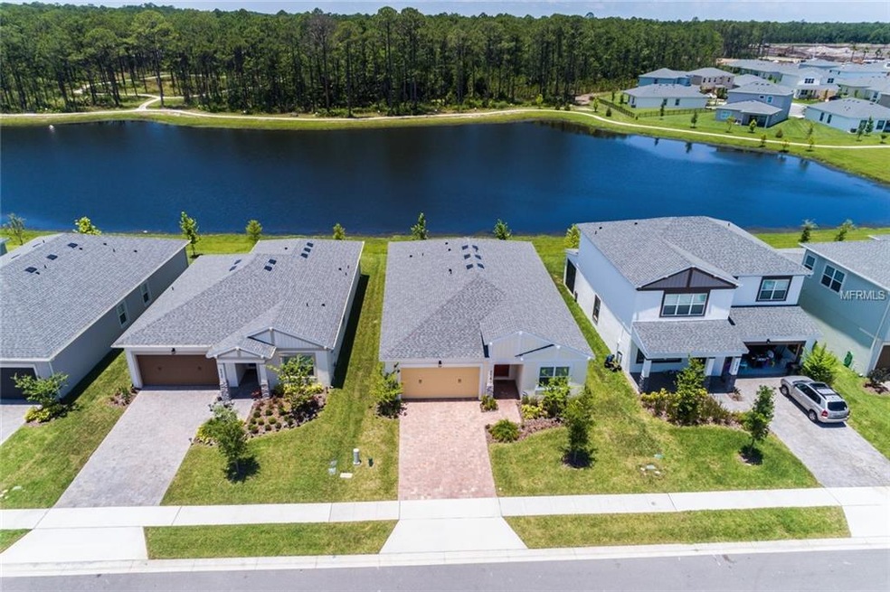 Beautiful brand new 4 bedroom, 2 bath home in West