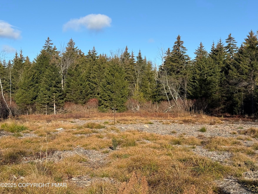 12 Laurel View Ln, Coolbaugh Township, PA 18466 - photo 1