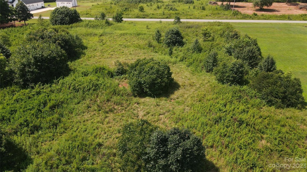 00 Burlingame Dr unit 45, Crouse, NC 28033 - photo 1