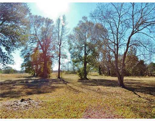 7179 River Rd, Lucedale, MS 39452 - photo 1