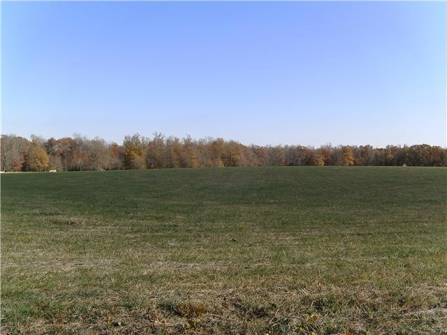 2 Fredonia Rd, Manchester, TN 37355 - photo 1