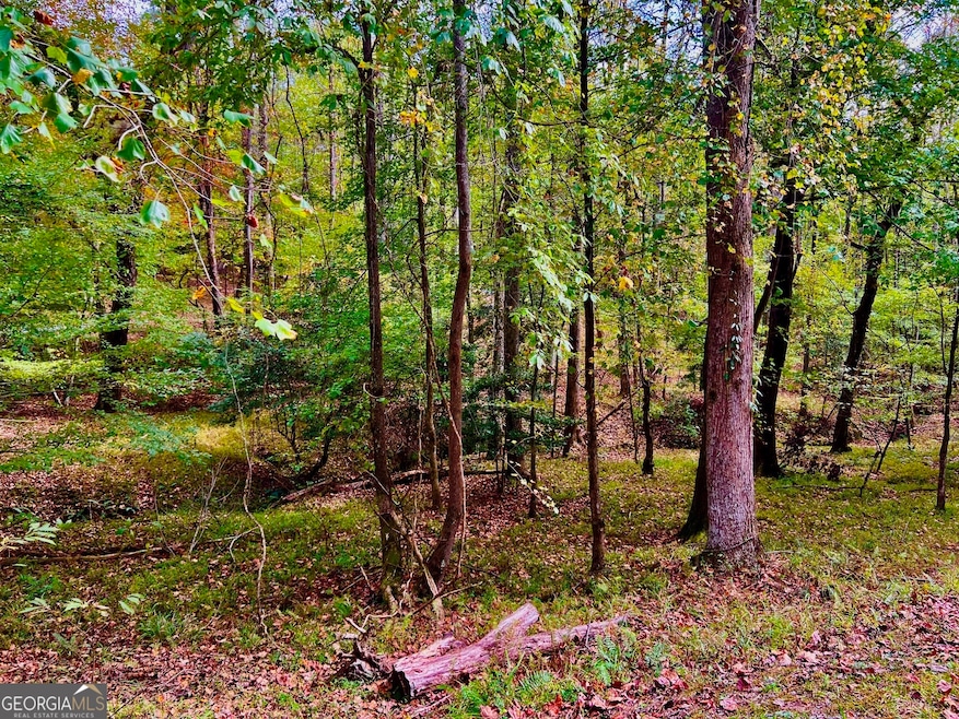 574 Satsuma Ct, Ellijay, GA 30540 - photo 1