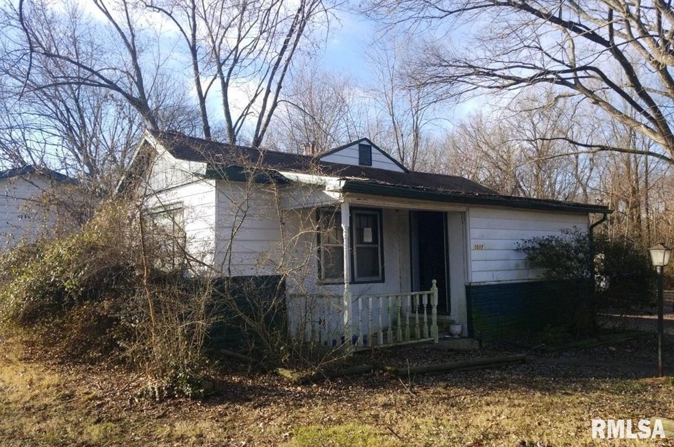 1017 Plum St, Harrisburg, IL 62946 - photo 1