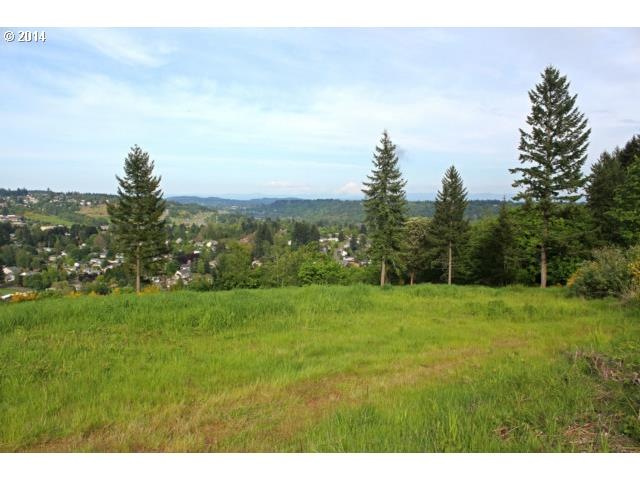 24700 SW Stafford Summit Ct, West Linn, OR 97068 - photo 1