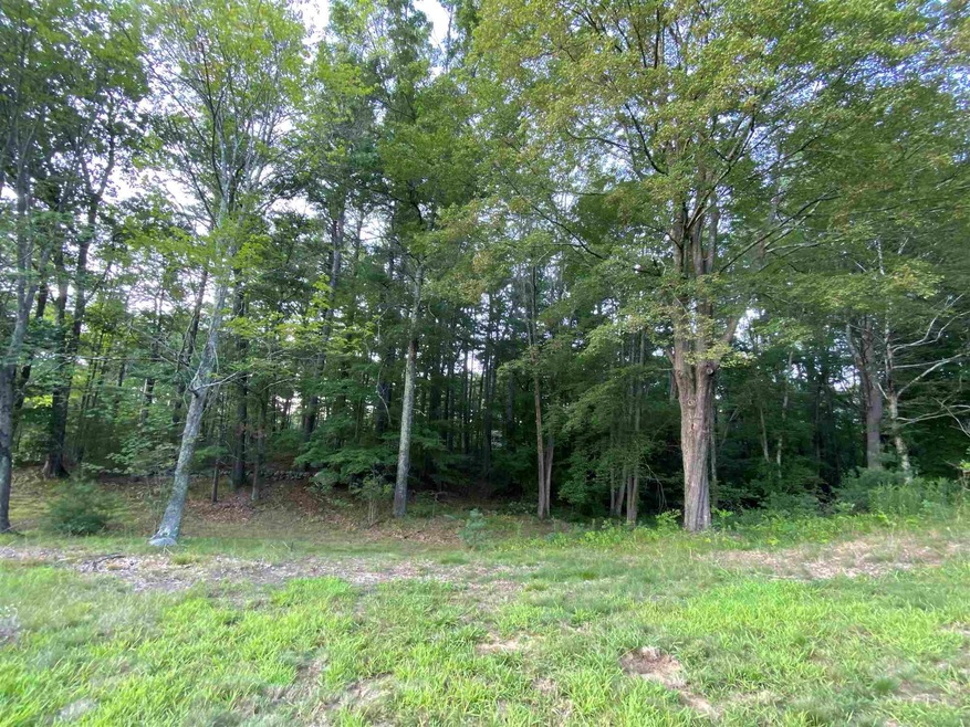 12 Naticook Rd unit 1A, Merrimack, NH 03054 - photo 1