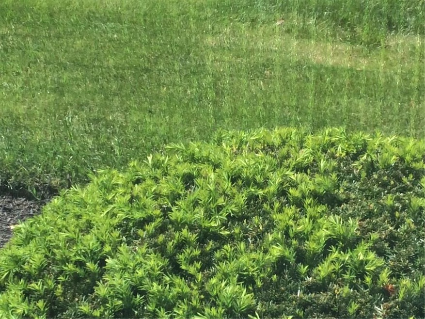 0 State Road 28 unit 21395233, Tipton, IN 46072 - photo 1