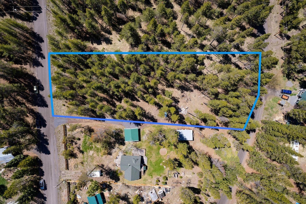 17053 Island Loop lot lines