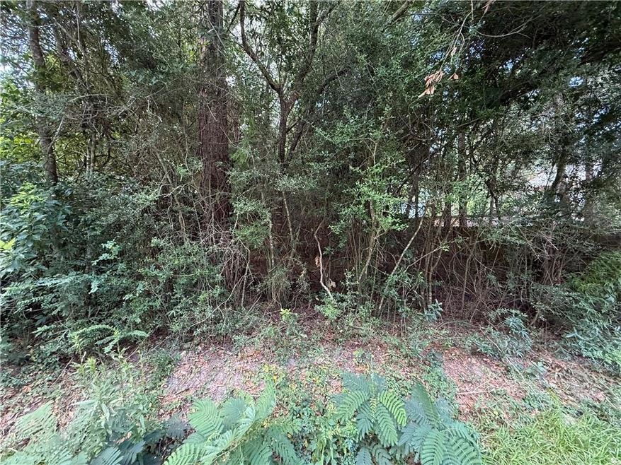 26028 E Birch St, Lacombe, LA 70445 - photo 1