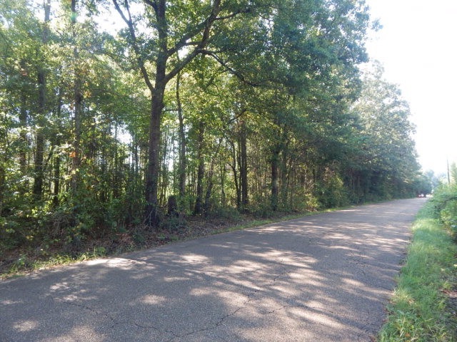 000 Caston Rd, McComb, MS 39648 - photo 1