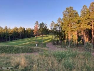 3680 Sage Ln, Show Low, AZ 85901 - photo 1