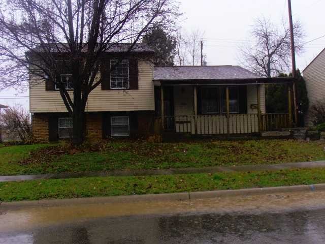 Primary Photo