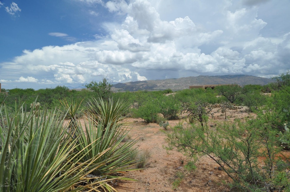 standing on lot view nw