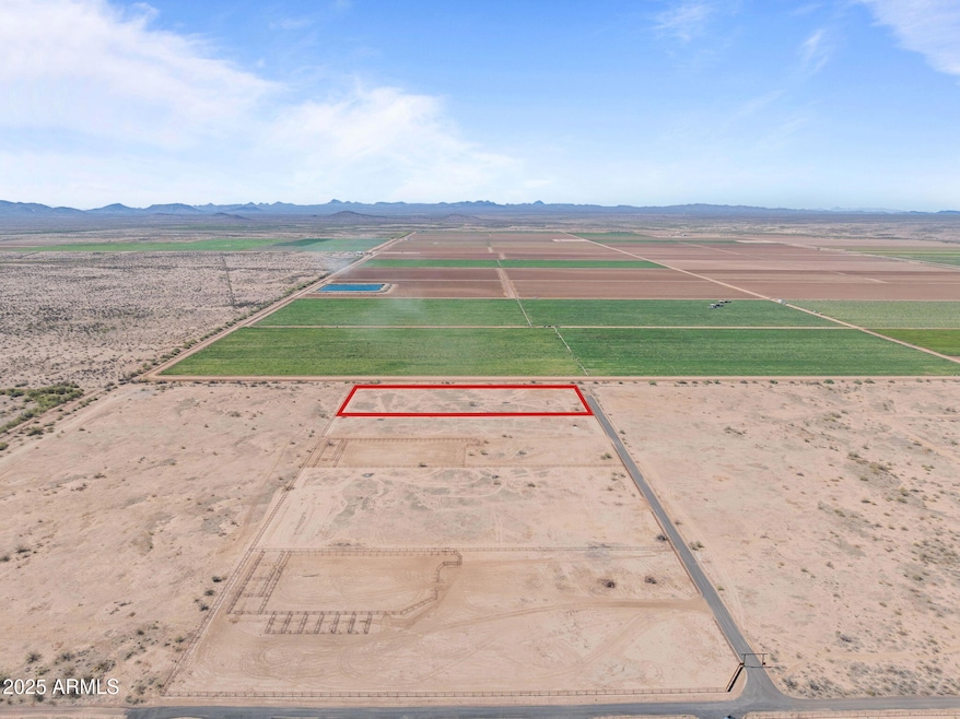 1-web-or-mls-long rifle 1 final