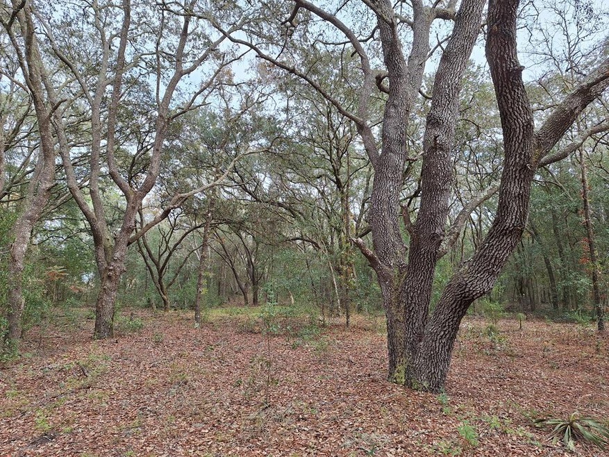 00 SE 73rd Place, Morriston, FL 32668 - photo 1