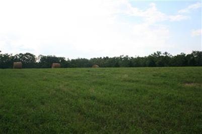 1 Elm Corner Rd, Versailles, KY 40383 - photo 1