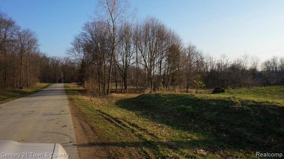 View From Ellis Road.  Looking South  1.55 Acres. 