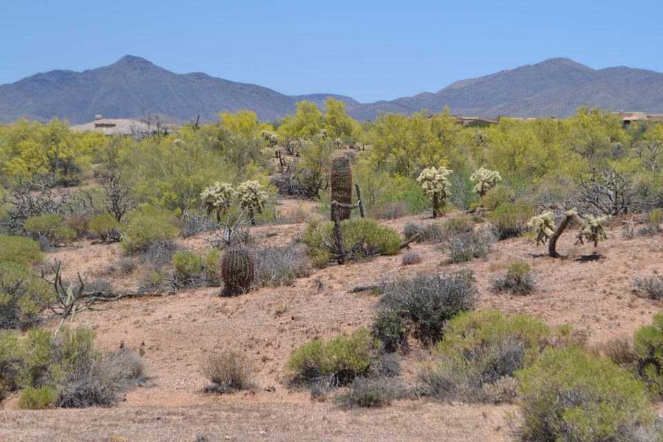10 Acres (33)