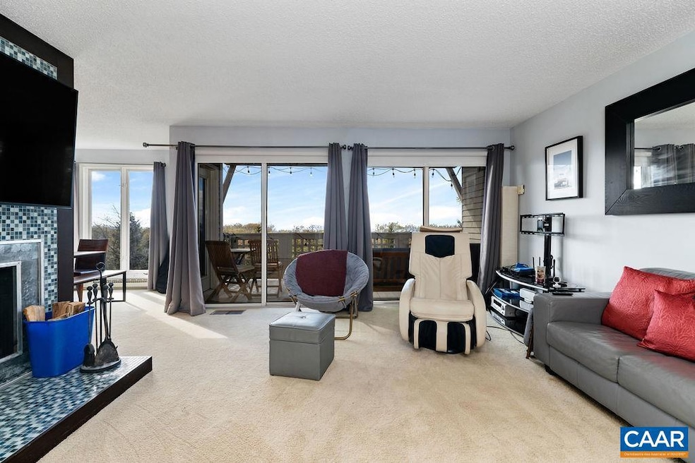 3211 N Ridge, Wintergreen Resort, VA 22967 - photo 1