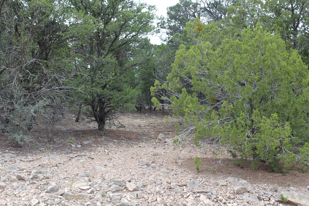 5 Manzano Loop, Five Hills, NM 87059 - photo 1