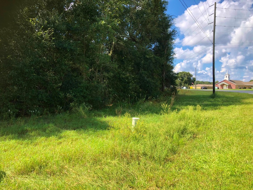 1139 Paul Dr, Inverness FL