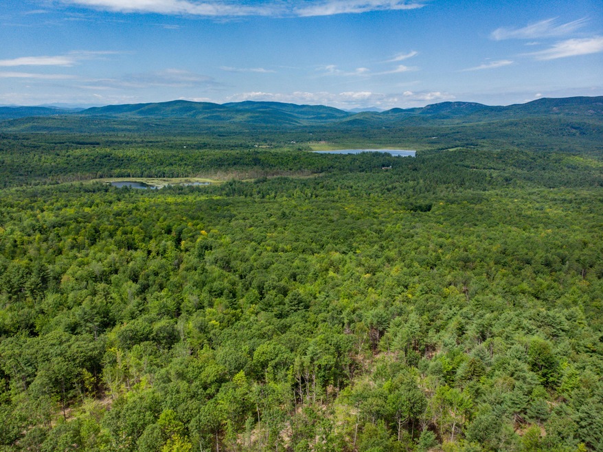 Views from Northern Edge of Property