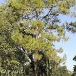 0 12th Ave SE unit 225065196, Naples, FL 34117 - photo 1