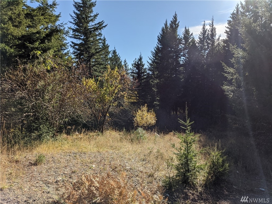 1 Bakers Rd, Cle Elum, WA 98922 - photo 1