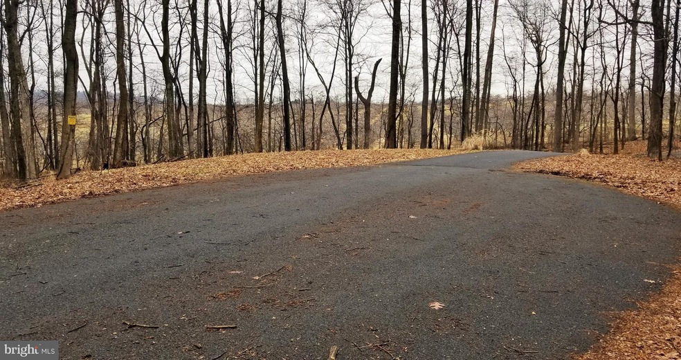 0 LOT 209 Woodcrest Dr, Gainesboro, VA 22603 - photo 1