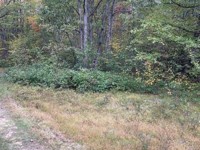 ON Tice Trail, Lincoln Township, MI 48625 - photo 1