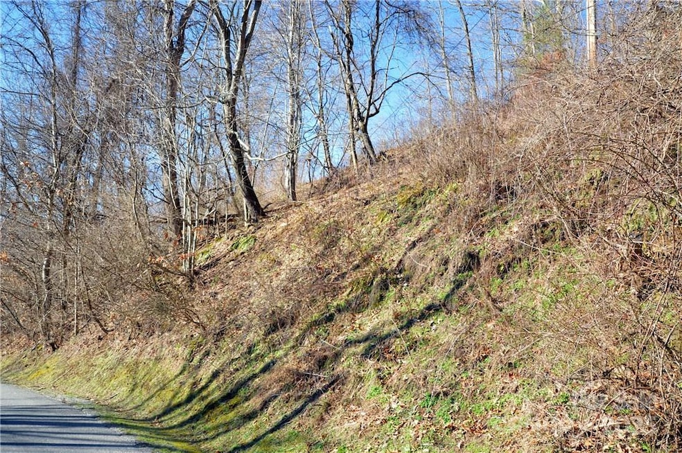 24 Lochmoor Ln, Waynesville, NC 28785 - photo 1