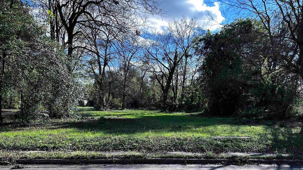 1120 E 8th Ave, Pine Bluff, AR 71601 - photo 1