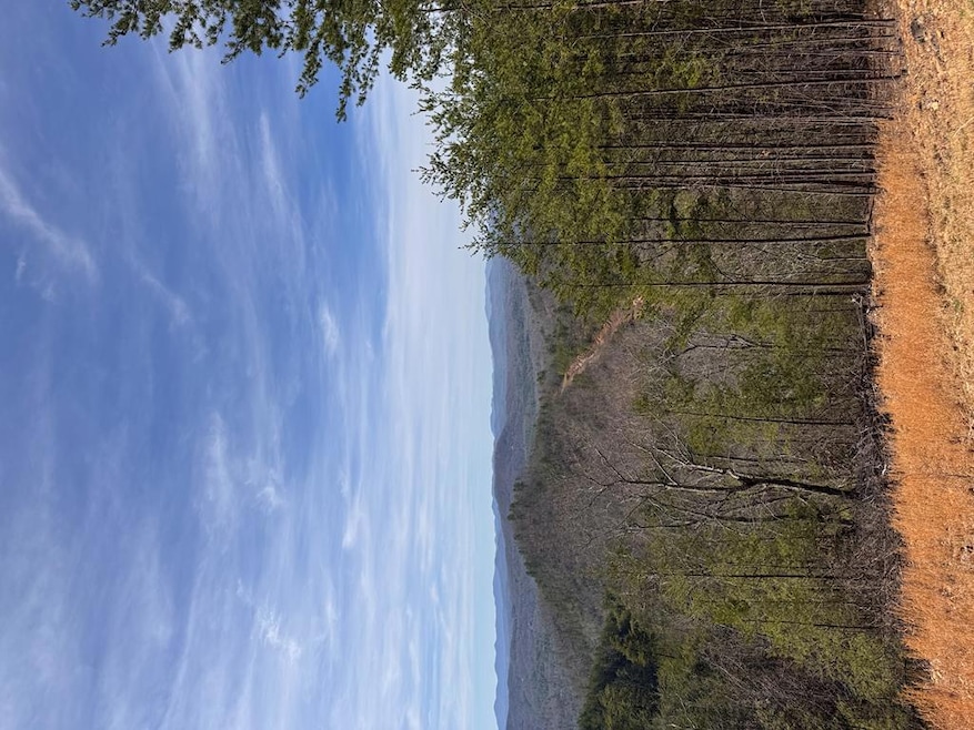 LT 35 Crested Eagle Ln, Murphy, NC 28906 - photo 1