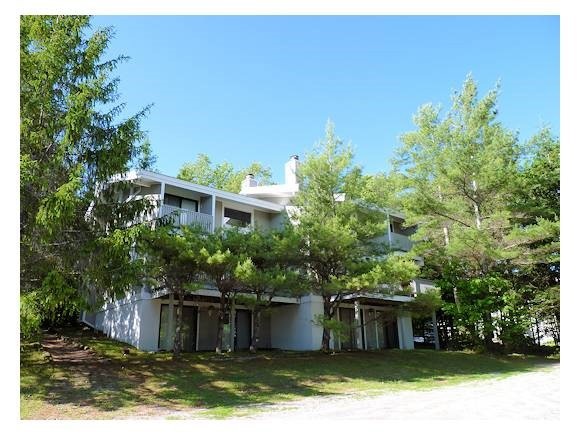 D1 Birches Way unit D1, Peru, VT 05152 - photo 1