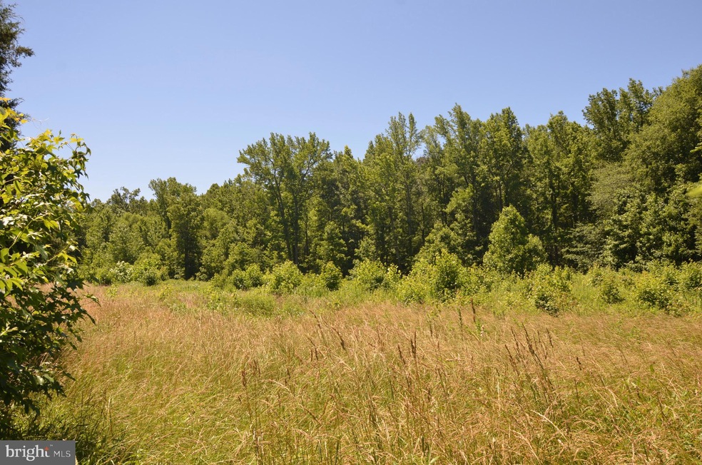 445 Collins Rd, Edgewater, MD 21037 - photo 1