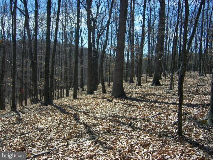 0 Dumpling Run Rd unit WVHD102062, Moorefield, WV 26836 - photo 1