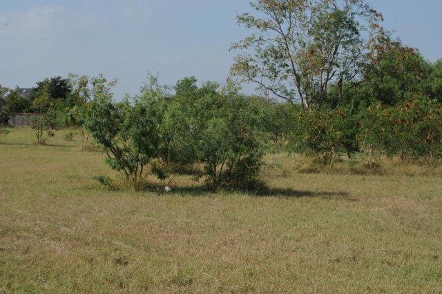 410 E Ferguson Ave, Pharr, TX 78577 - photo 1