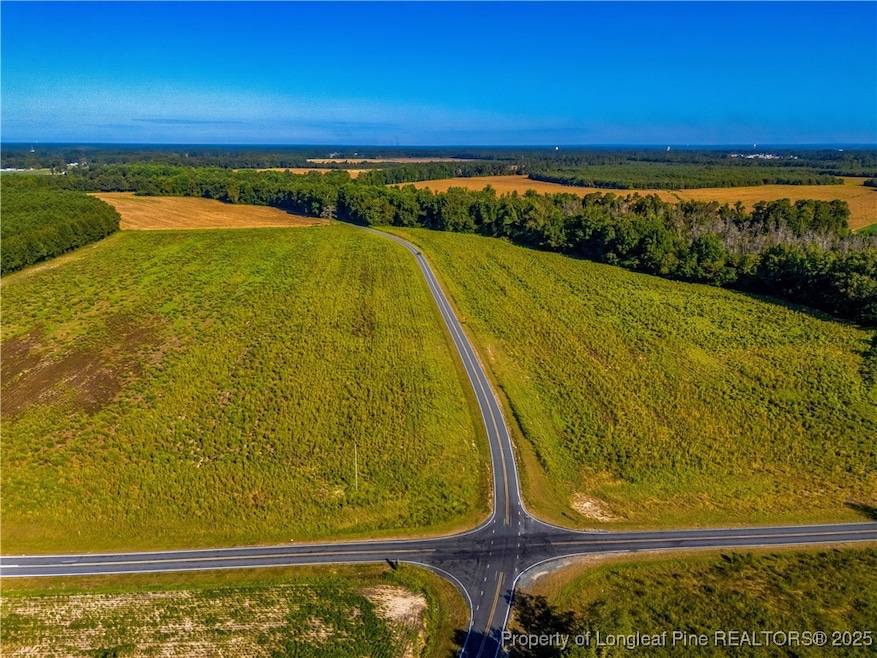 Lot 18 Daniel McLeod Rd, Red Springs, NC 28377 - photo 1