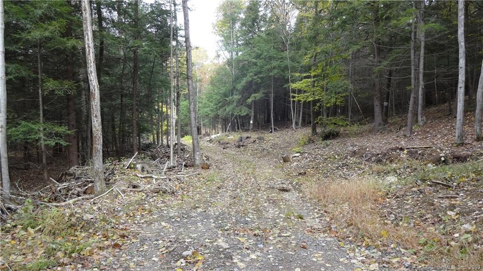 0 Pitch Rd unit 170140492, Litchfield, CT 06759 - photo 1