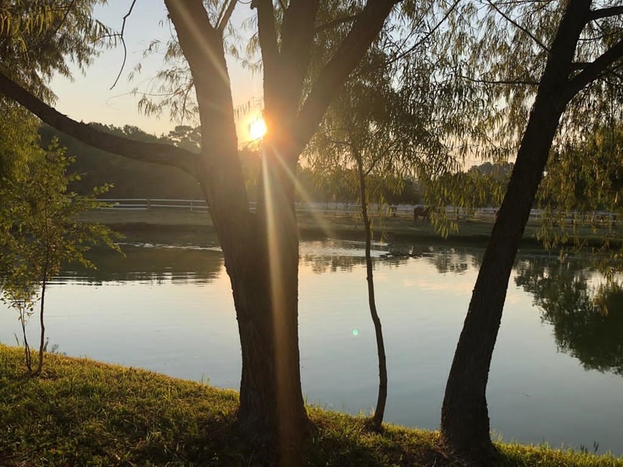 25413 T k c Rd, Tomball, TX 77375 - photo 1