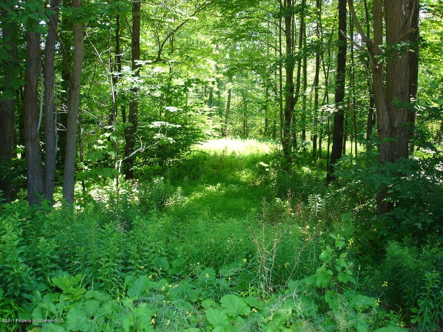 0 Gardner Rd unit GSB131166, Roaring Brook Township, PA 18444 - photo 1