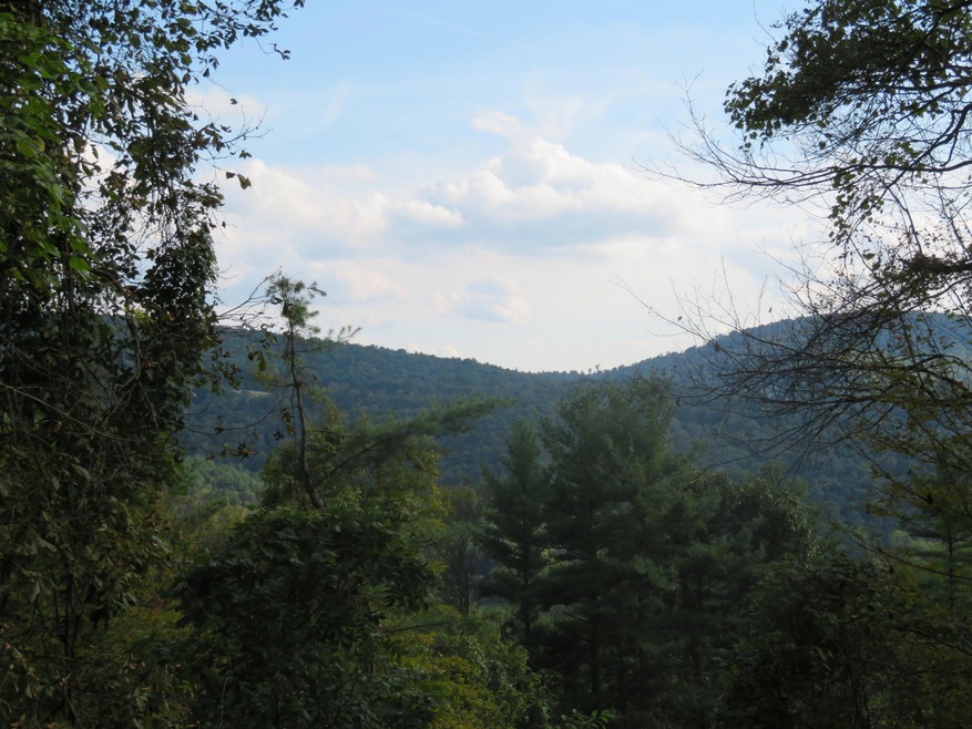 Wooded Acreage
